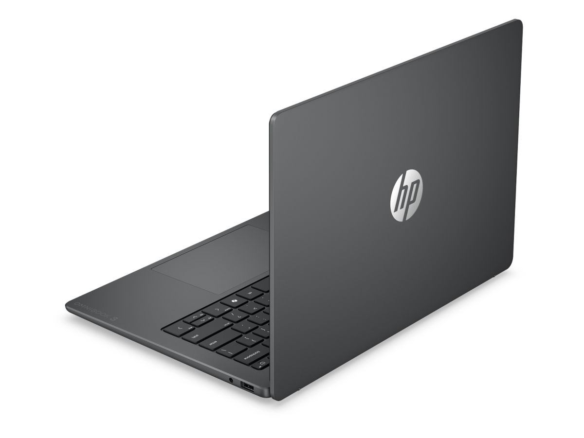 HP OmniBook 3 14 inch Laptop 14-hu0113TU, Silver