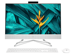 HP All-in-One 24-df1042d PC