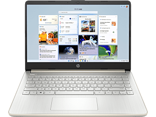 HP 14 inch Laptop 14s-dq3145TU, Gold - 14-inch - Pale gold cover and base, natural silver keyboard frame (BP0T4PA)