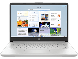 HP 14 inch Laptop 14s-dq5227TU, Silver + HP P24v G5 FHD MNTR INDO - 14" - Silver (B29ZDPA-BN)