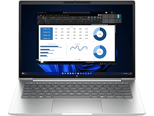 HP ProBook 445 14 inch G11 Business Laptop  Wolf Pro Security Edition, Silver - 14" - Silver (A6RB7PT)