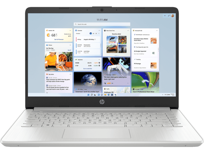 HP 14 inch Laptop 14s-dq5227TU, Silver + HP P24v G5 FHD MNTR INDO - 14" - Silver (B29ZDPA-BN)