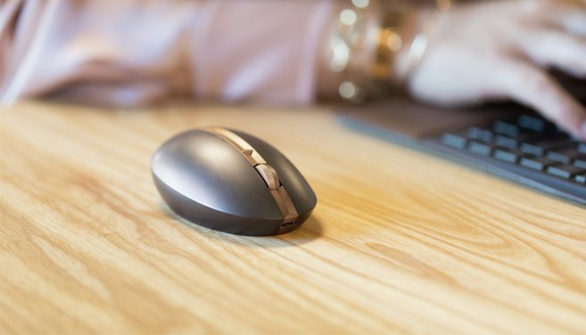 Mouse